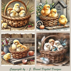 Vintage Baby Chicks in Basket 4-4"x4" Obraz cyfrowy, Gospodarstwo, Wiejski, Pobieranie cyfrowe, Do druku, Dekupaż, Sublimacja, Sztuka ścienna, Materiały