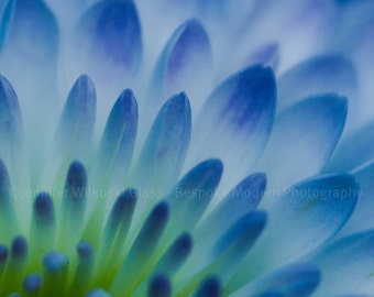 Blue Flower - Square Print