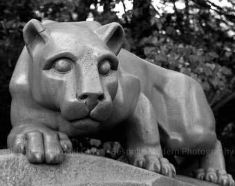 Penn State Nittany Lion -  Fine Art Print