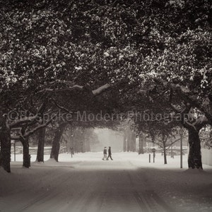 Snow in the Colonial Capital - Fine Art Print
