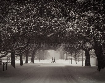 Snow in the Colonial Capital - Fine Art Print