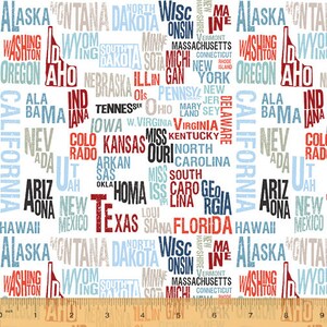 May include: A white background with a repeating pattern of all the states in the United States of America written in different colors and fonts. The states are written in a random order and overlap each other.