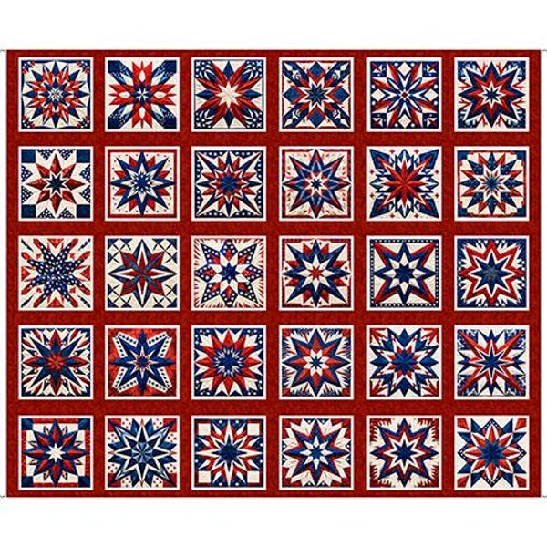 Quilt Blocks in Red part of the American Tapestry Line by Quilting Treasures - by the panel