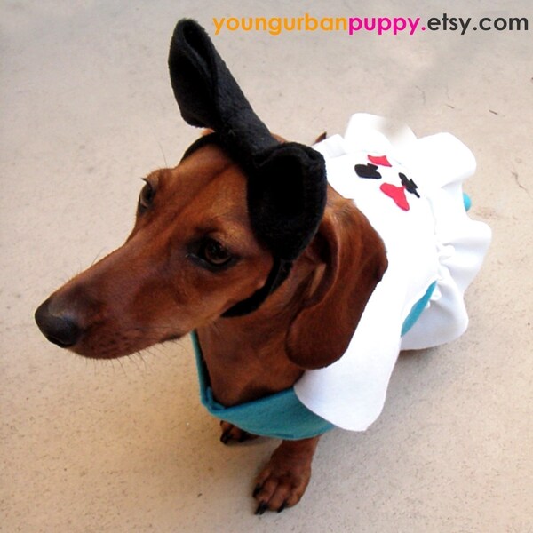 Alice in Wonderland Dog Dress