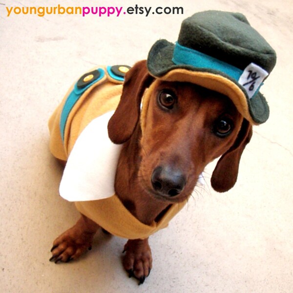 MAD HATTER Alice in Wonderland Trenchcoat for Dogs with Matching Hat