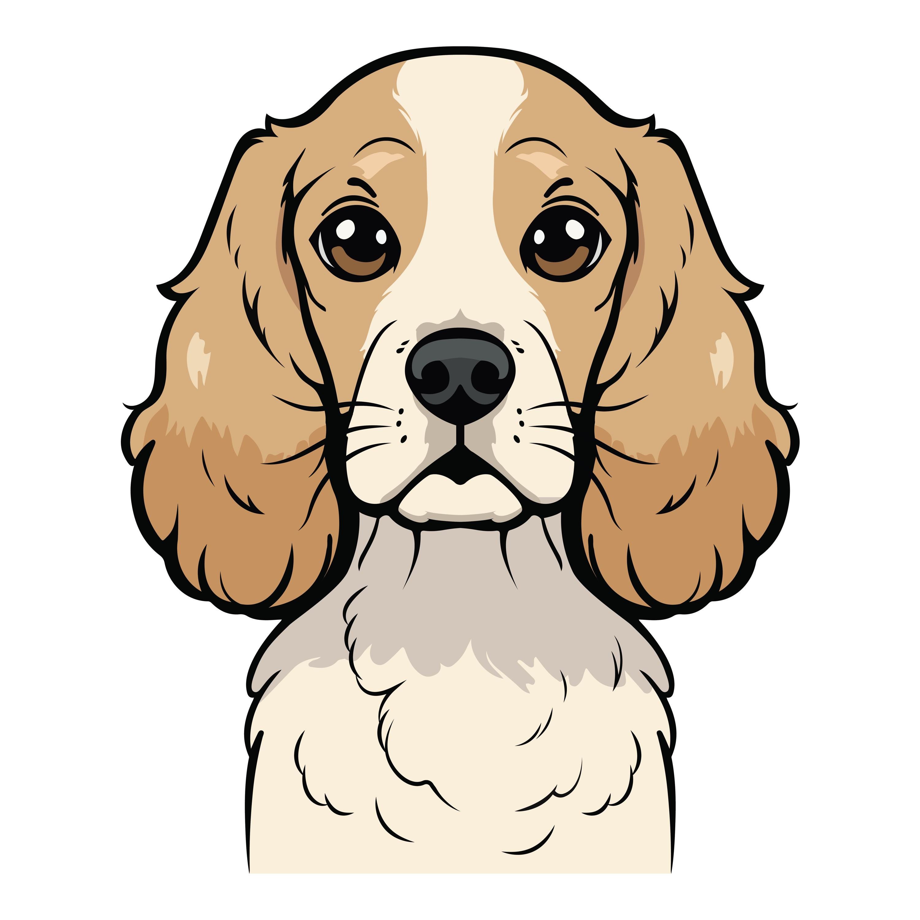 Cocker Spaniel Dog Clipart Digital Download Png Svg Ai Eps cocker-spaniel-dog-clipart-digital-download-png-svg-ai-eps