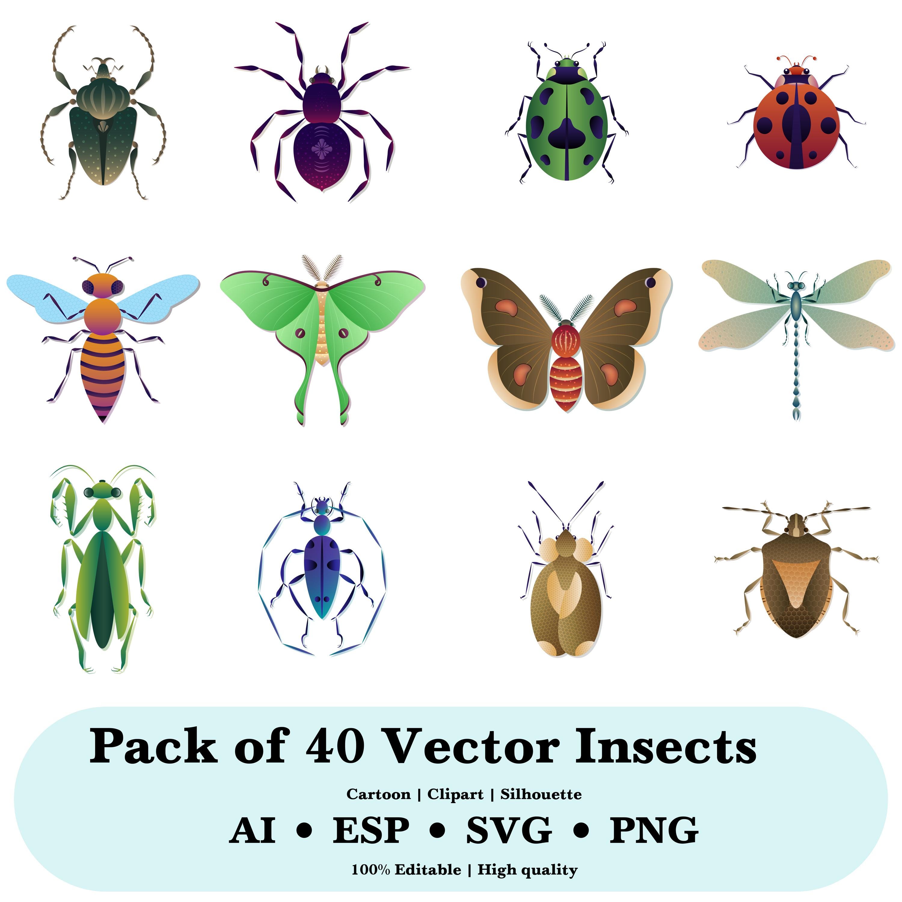 Insect Vector Clipart Bundle (svg, Png, Eps, Ai Files) (digital ...