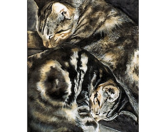 Tabby Cats Watercolor Signed Print (11.75 x 8.25 inches)