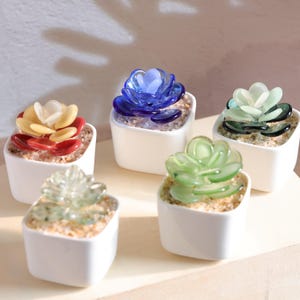 May include: Five small, square white ceramic pots each contain a colourful glass succulent. The succulents are in shades of red, yellow, blue, green, and clear. The pots are filled with small, light-coloured pebbles.