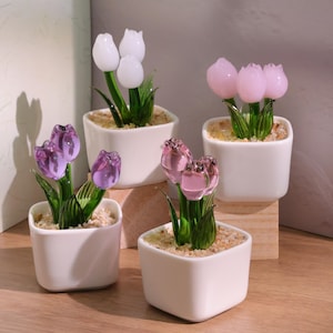 Può includere: Cinque piccoli vasi quadrati in ceramica bianca, ciascuno contenente fiori di tulipano in vetro. I tulipani sono nelle tonalità del bianco, del rosa e del viola, con steli e foglie verdi. I vasi sono riempiti con piccoli ciottoli beige.