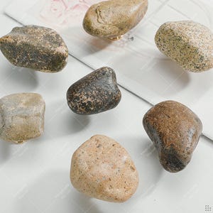 Może przedstawiać: Zestaw siedmiu gałek do szafek w kształcie kamieni. Gałki mają różne kolory, od jasnobrązowego do ciemnobrązowego i szarego, z naturalną, teksturowaną powierzchnią. Każda gałka ma złotą podstawę.