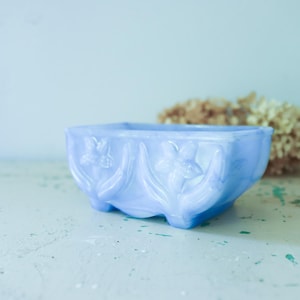 May include: A light blue, rectangular planter with floral relief detailing. The small, footed container is made of a translucent material. Dried flowers are visible in the background, suggesting a decorative theme.
