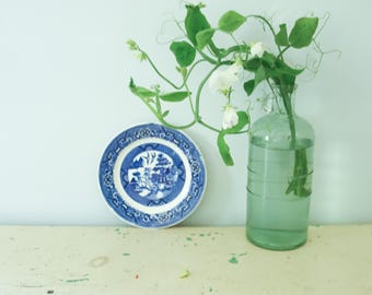 May include: A blue and white decorative plate with a detailed landscape design sits next to a clear glass bottle vase. The vase holds fresh green stems with white flowers. The items are arranged on a light-colored surface.