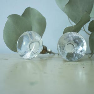 May include: Two round, clear glass cabinet knobs with a smooth, reflective surface. Each knob features a metallic base attachment and is positioned in front of several large, muted green eucalyptus leaves with rounded foliage.