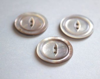 Gray Mist Shell Button x 3