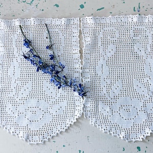 May include: Two white, crocheted lace panels with a scalloped edge, possibly curtains or doilies. A sprig of blue flowers rests across the panels. The lace has a floral pattern.