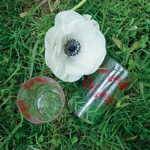 Swanky Swigs x 2 Juice Glasses