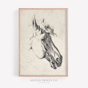 Horse Head Drawing | Vintage Animal Sketch | Equine Portrait | Detailed Engraving Art | Digital Download | Horse Wall Art