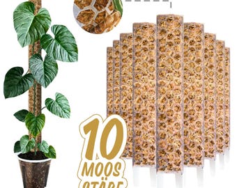 Moosstab 53 cm (XL)  Rankhilfe fr Monstera, Philodendron &  Kletterpflanzen - Etsy.de
