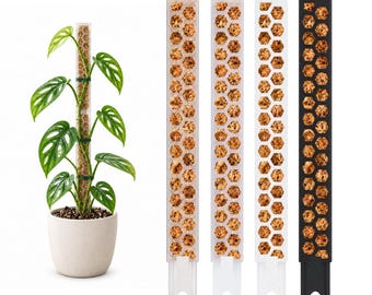 Op de afbeelding: Een lange, slanke plantensteun met een zeshoekig honingraatpatroon gevuld met bruin mos, getoond in transparant, wit en zwart plastic. Eén steun is bevestigd aan een plant met groene bladeren in een lichte pot met groene bindertjes.