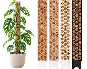 Op de afbeelding: Een hoge Monstera adansonii plant met gaten in de bladeren die tegen een verticale mosstok in een lichte pot groeit, naast vier afzonderlijke rechthoekige plantensteunen met een honingraatvormig frame gevuld met bruin mos.