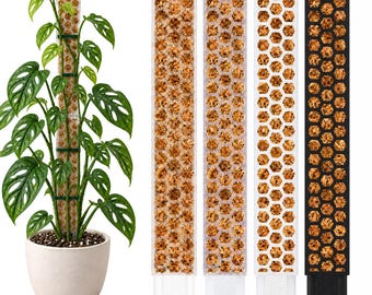 Op de afbeelding: Een hoge, groene Monstera adansonii plant in een witte pot ondersteund door een mosstok, naast vier individuele rechthoekige plantensteunen met een honingraatpatroon gevuld met bruin mos, verkrijgbaar in wit en zwart.