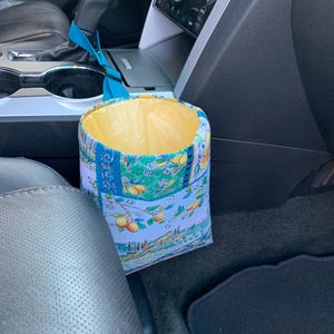 Car Trash Litter