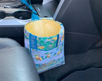 Car Trash Litter
