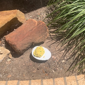 May include: A white ceramic egg-shaped dish with a yellow and green food item inside. The dish is sitting on a dirt surface with rocks and grass.