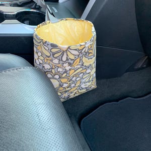 Car Trash Litter