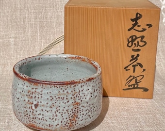Shino Chawan Tea Bowl by Noritoshi Takagi | Heiseisho Kiln, Signed (Wooden Box)