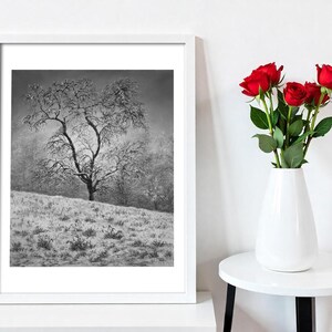 Dipinto ad olio – Paesaggio invernale con melo / Opera d'arte in bianco e nero, stampa giclée di belle arti / Decorazione murale fatta a mano in edizione limitata