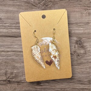 Seashell earrings