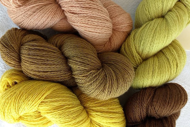 Gift For Knitter YAFC111810 curated collection of 5 fingering-weight skeins Natural Dye Wool Free Shipping