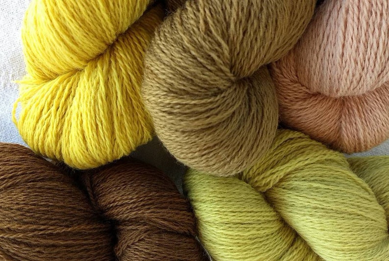 Gift For Knitter YAFC111810 curated collection of 5 fingering-weight skeins Natural Dye Wool Free Shipping