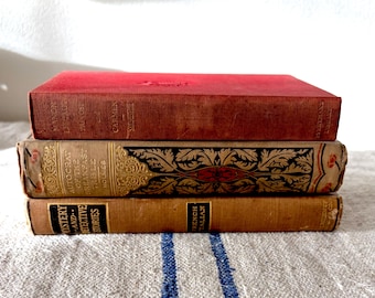 Set of Vintage Books ~ Shades of Brown and Red with Decorative Gold Accents on the Spine