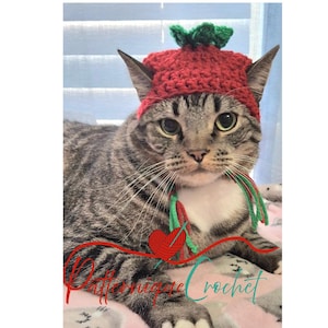 Cute Tomato cat hat, made to order, winter hat for cat/bunny/XS dog, pet hat costume, hat for fur baby