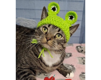 Crochet Frog Pet Hat: Cat, Bunny, XS Dog Costume