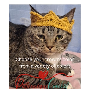 Royal cat crown, pet tiara made to order, choose your color crown for cat/bunny/XS dog, Halloween pet costume, prince or princess fur baby