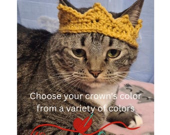 Crochet Cat Crown: Custom Pet Tiara, Halloween Costume