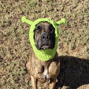 Crochet Alien Dog/Cat Snood: Custom Pet Head Warmer