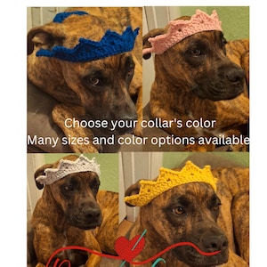 Royal dog crown, pet tiara made to order, choose your color crown for puppies and dogs, Halloween pet costume, prince or princess fur baby