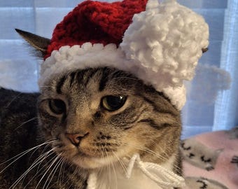 Adorable Santa Claus Crochet Pattern: DIY Pet Beanie (PDF in English Digital Download)