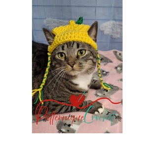 Cute Handmade Crochet Cat Hat – Adorable Pet Accessory for Cats & Kittens - Citrusy Hat for Fur Baby, Halloween Pet Costume