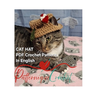 Crochet Fishing Cat Hat Pattern: Fun Pet Costume (PDF in English Digital Download)