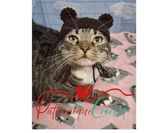 Crochet Bear Cat Hat: Halloween Pet Costume