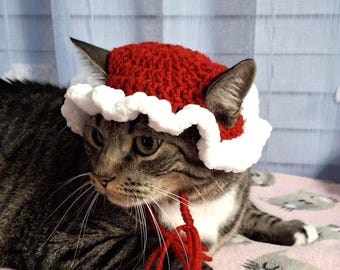 Adorable Mrs Santa Claus Crochet Pattern: DIY Pet Beanie (PDF in English Digital Download)