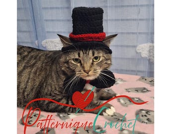 Crochet Cat Top Hat and Bowtie: Halloween Pet Costume