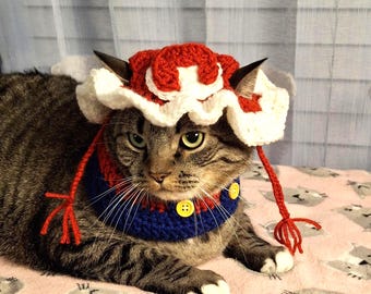 Crochet Cat Hat and Scarf: Funny Pet Costume, Winter Outfit