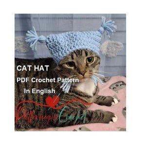 Funny Tassel Cat Hat Crochet Pattern - Fun DIY Project for Cat Lovers, PDF in English, Digital Download, Crochet pet beanie
